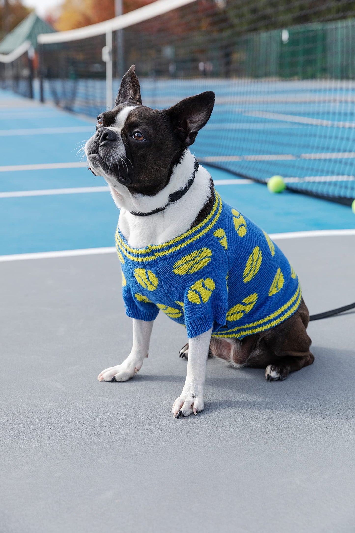 Tennis Balls Knit Dog Sweater